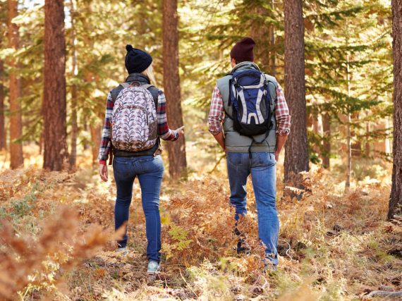 10 Tipps und Ideen für Aktivitäten im Herbst