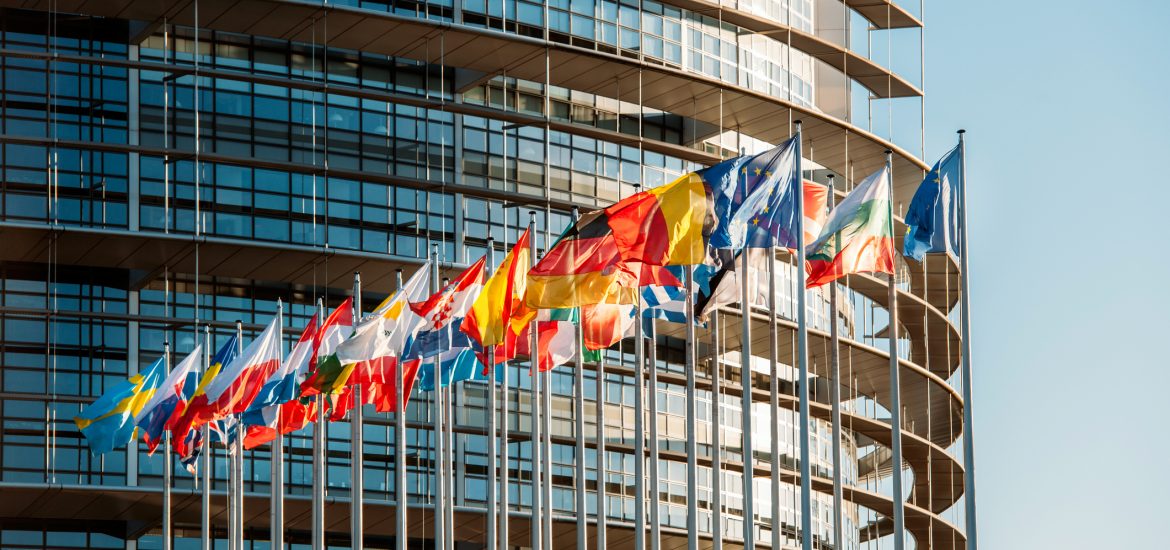 Europawahl Flaggen