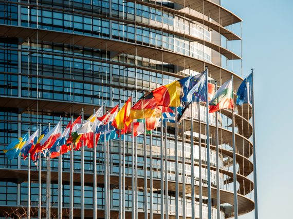Europawahl 2019 – alles was du wissen musst